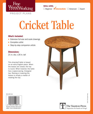 Cricket Table Project Plan