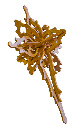 Ornament02