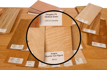 Wood Veneer Identification Kit