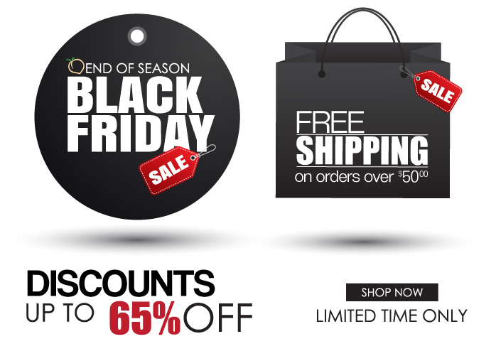 Black Friday Special